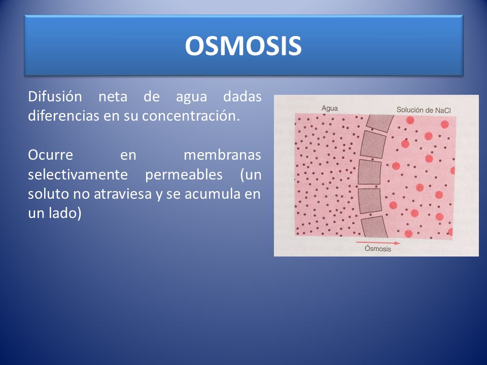 OSMOSIS Difusión neta de agua dadas diferencias en su concentración.
