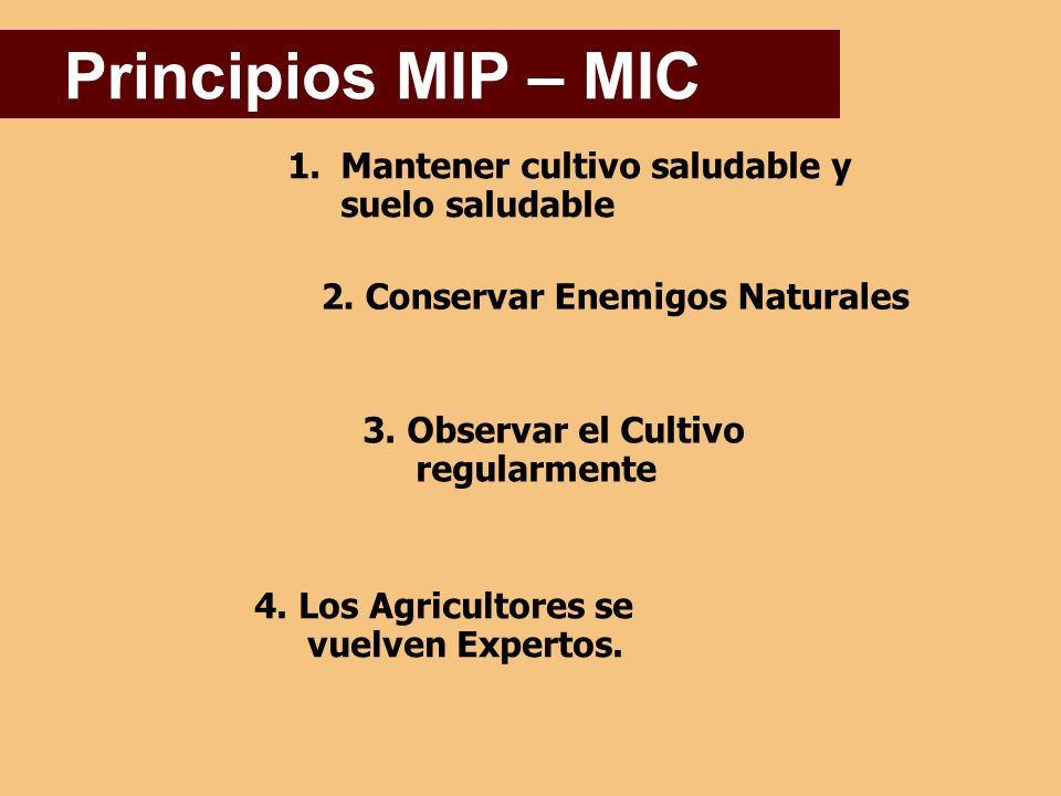 Principios MIP – MIC Mantener cultivo saludable y suelo saludable