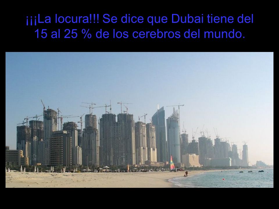 ¡¡¡La locura!!! Se dice que Dubai tiene del 15 al 25 % de los cerebros del mundo.