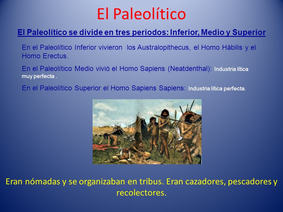 El Paleolítico El Paleolítico se divide en tres periodos: Inferior, Medio y Superior.