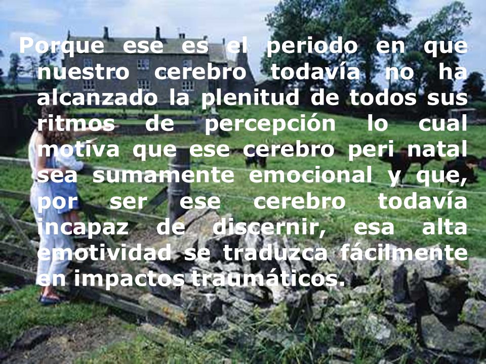 Porque ese es el periodo en que nuestro cerebro todavía no ha alcanzado la plenitud de todos sus ritmos de percepción lo cual motiva que ese cerebro peri natal sea sumamente emocional y que, por ser ese cerebro todavía incapaz de discernir, esa alta emotividad se traduzca fácilmente en impactos traumáticos.