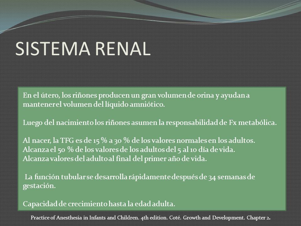 SISTEMA RENAL En el útero, los riñones producen un gran volumen de orina y ayudan a mantener el volumen del líquido amniótico.