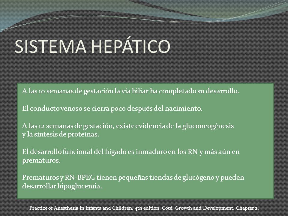 SISTEMA HEPÁTICO A las 10 semanas de gestación la vía biliar ha completado su desarrollo. El conducto venoso se cierra poco después del nacimiento.