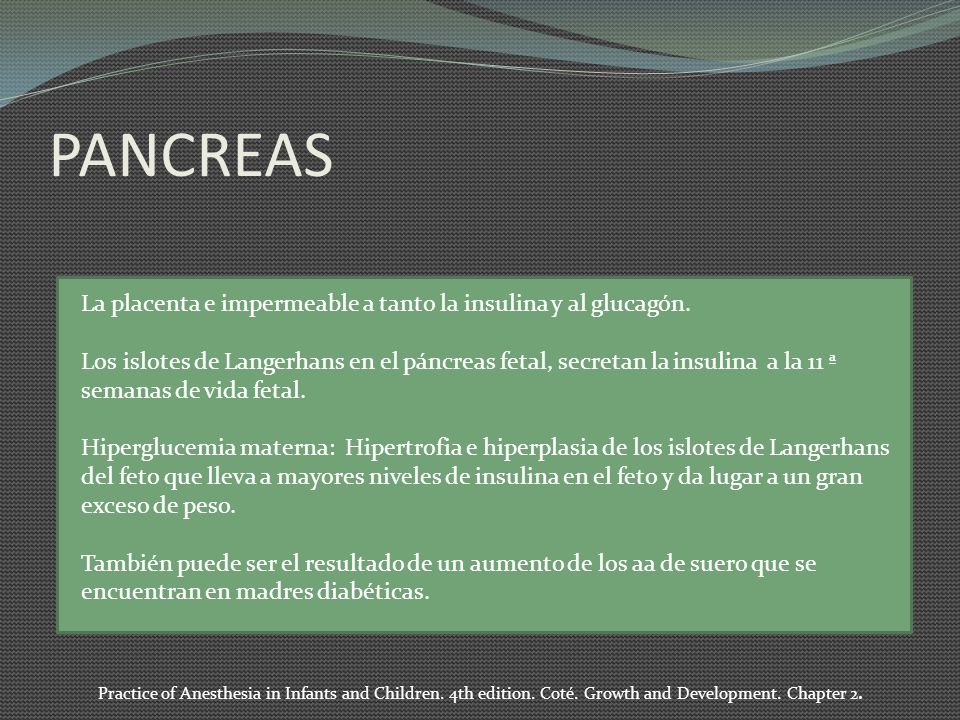 PANCREAS La placenta e impermeable a tanto la insulina y al glucagón.