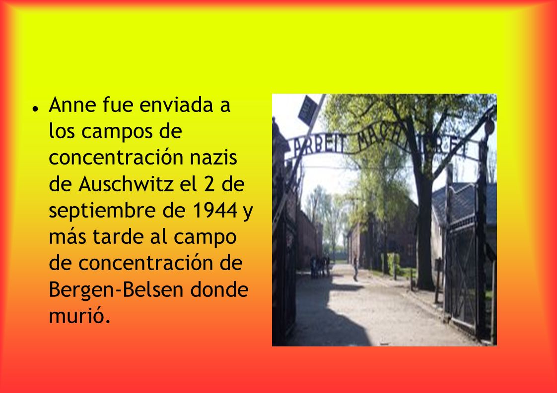 Anne fue enviada a los campos de concentración nazis de Auschwitz el 2 de septiembre de 1944 y más tarde al campo de concentración de Bergen-Belsen donde murió.