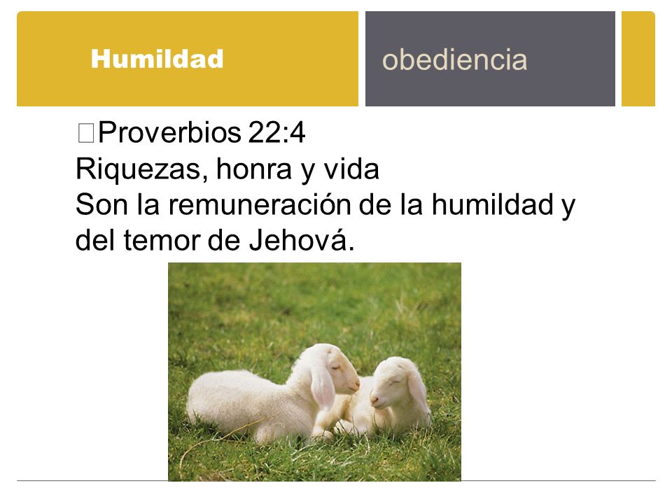 Son la remuneración de la humildad y del temor de Jehová.