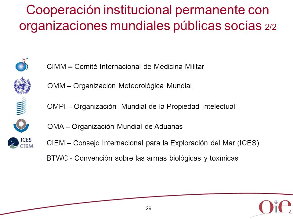 Cooperación institucional permanente con organizaciones mundiales públicas socias 2/2