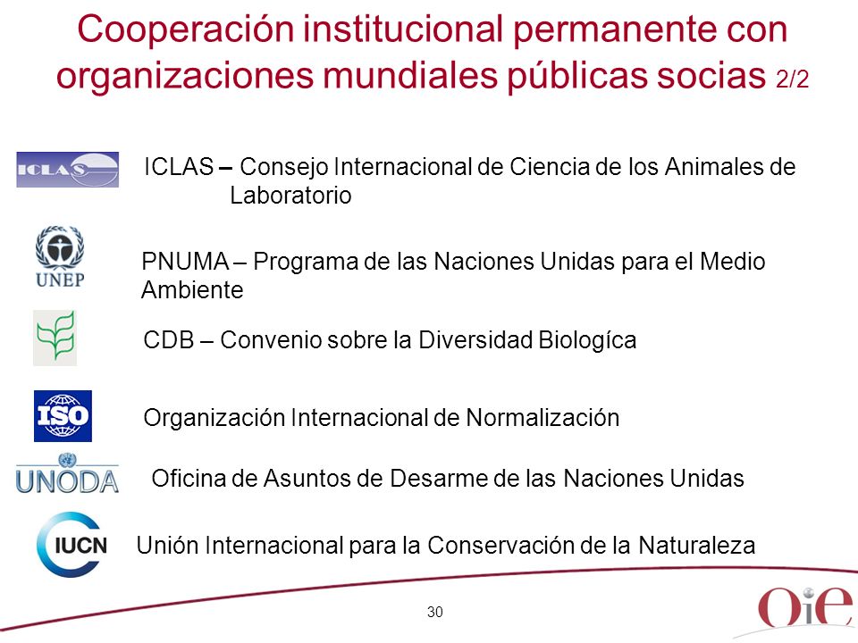Cooperación institucional permanente con organizaciones mundiales públicas socias 2/2