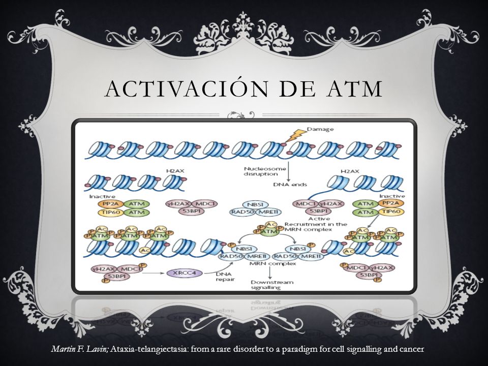 ACTIVACIÓN DE ATM Figura 1 | la activación de la ATM. es un.