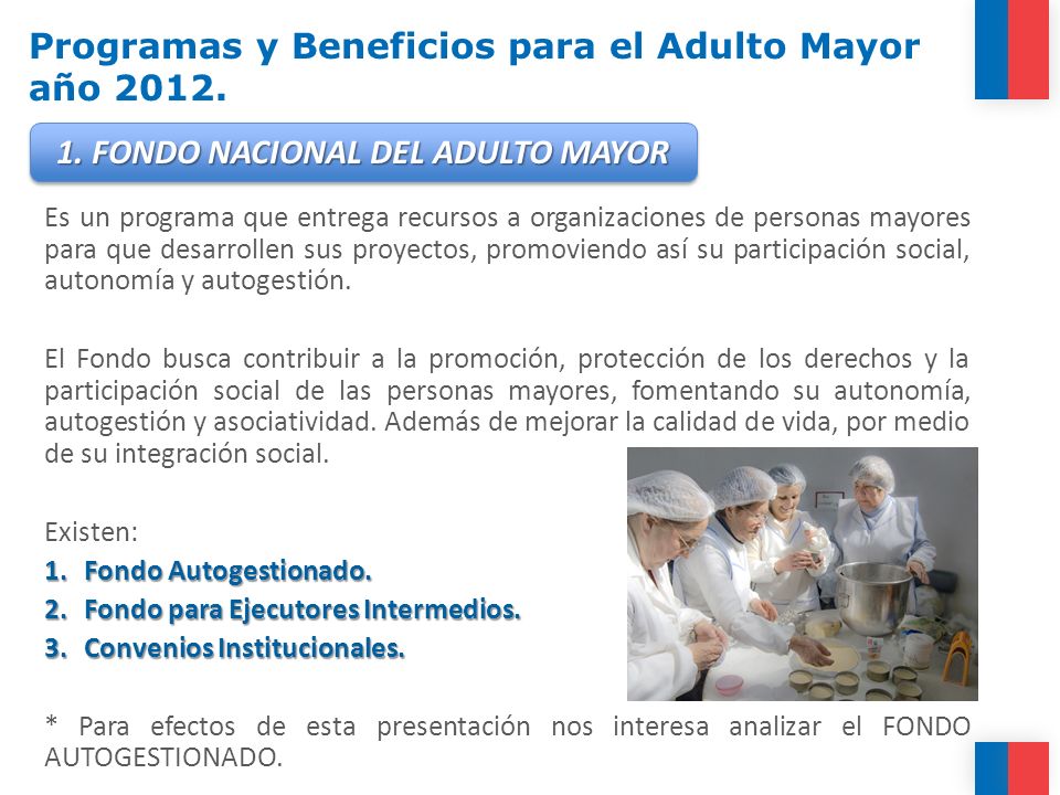 Programas y Beneficios para el Adulto Mayor año 2012.
