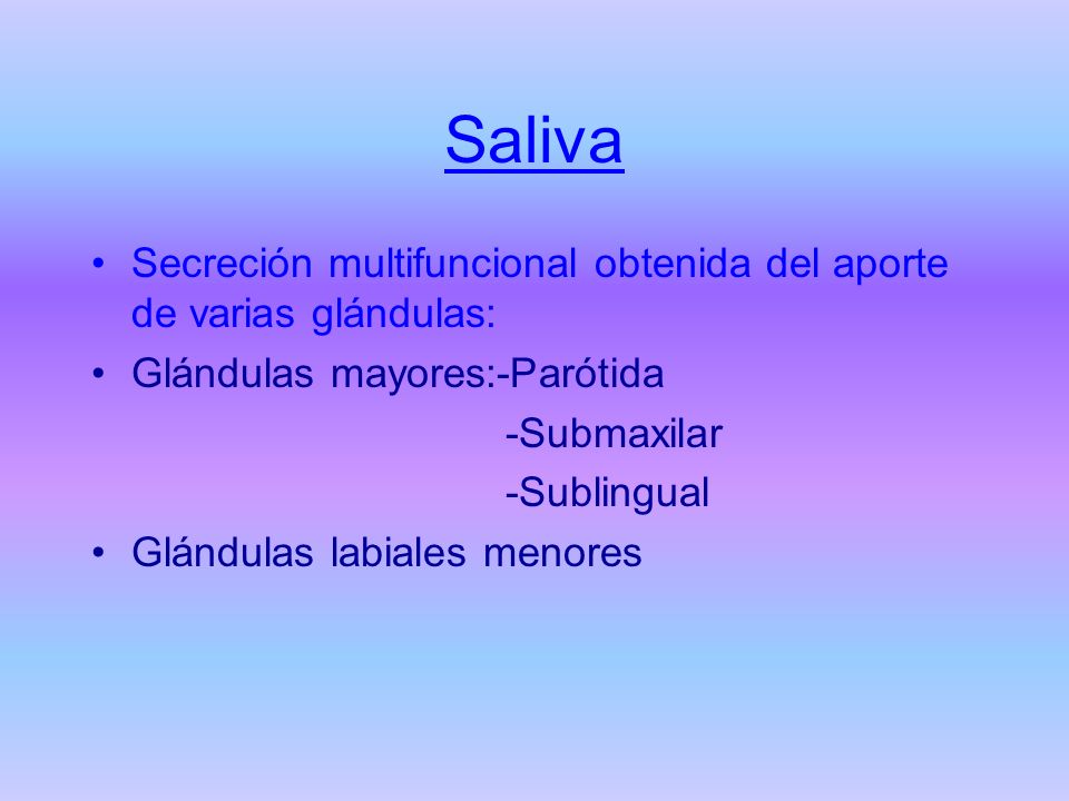 Saliva Secreción multifuncional obtenida del aporte de varias glándulas: Glándulas mayores:-Parótida.