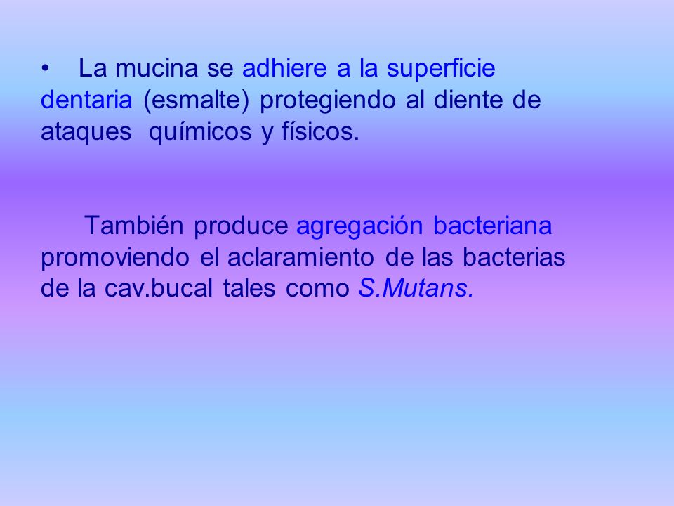 La mucina se adhiere a la superficie dentaria (esmalte) protegiendo al diente de ataques químicos y físicos.