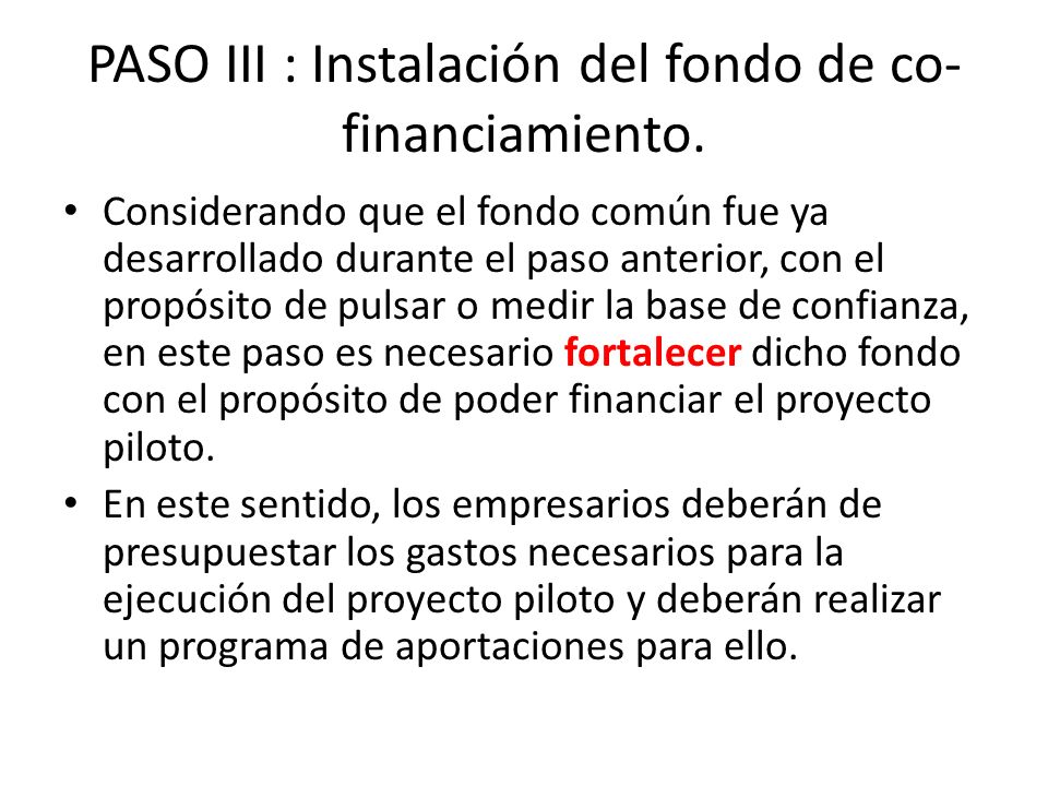 PASO III : Instalación del fondo de co- financiamiento.