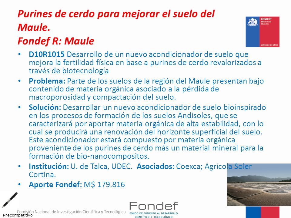 Purines de cerdo para mejorar el suelo del Maule. Fondef R: Maule