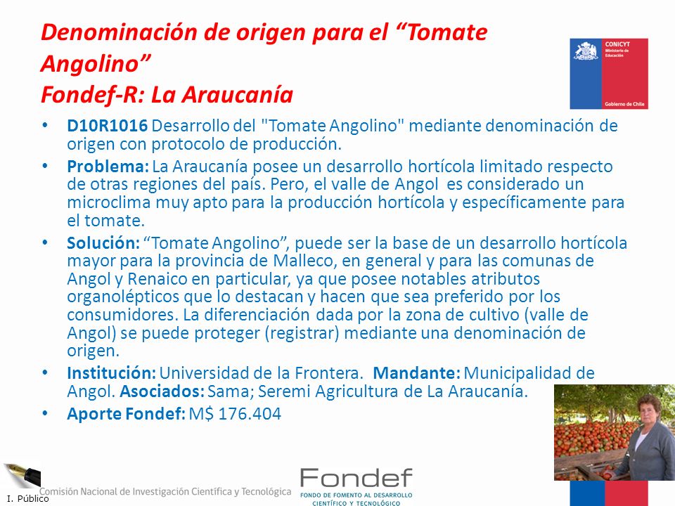Denominación de origen para el Tomate Angolino Fondef-R: La Araucanía