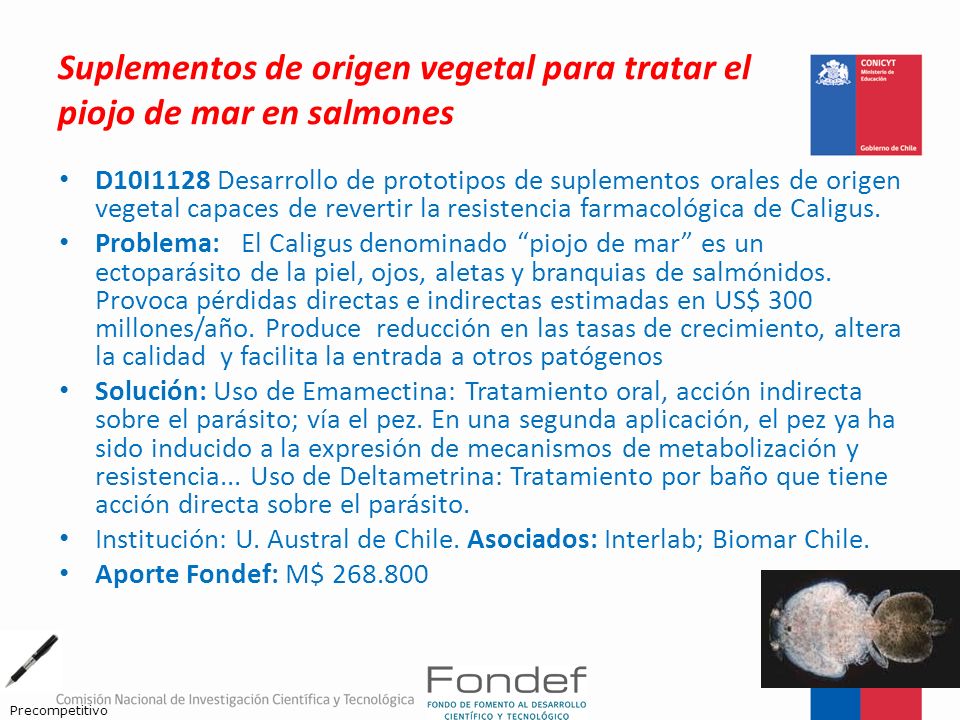 Suplementos de origen vegetal para tratar el piojo de mar en salmones