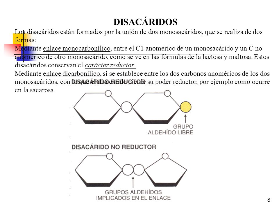 DISACÁRIDOS Los disacáridos están formados por la unión de dos monosacáridos, que se realiza de dos formas: