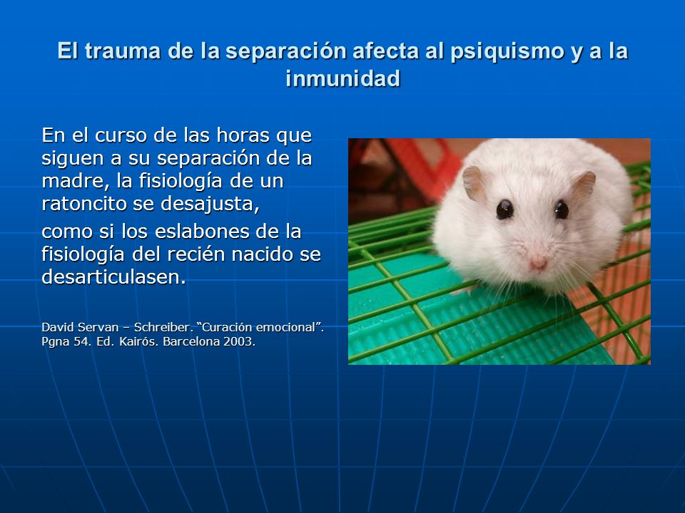 El trauma de la separación afecta al psiquismo y a la inmunidad