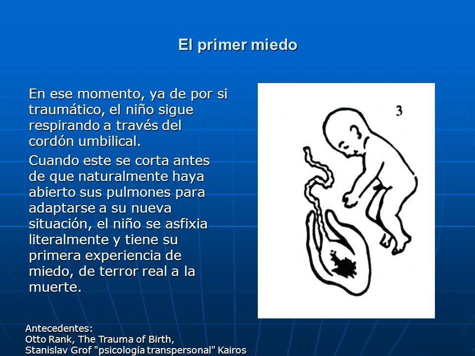 El primer miedo En ese momento, ya de por si traumático, el niño sigue respirando a través del cordón umbilical.