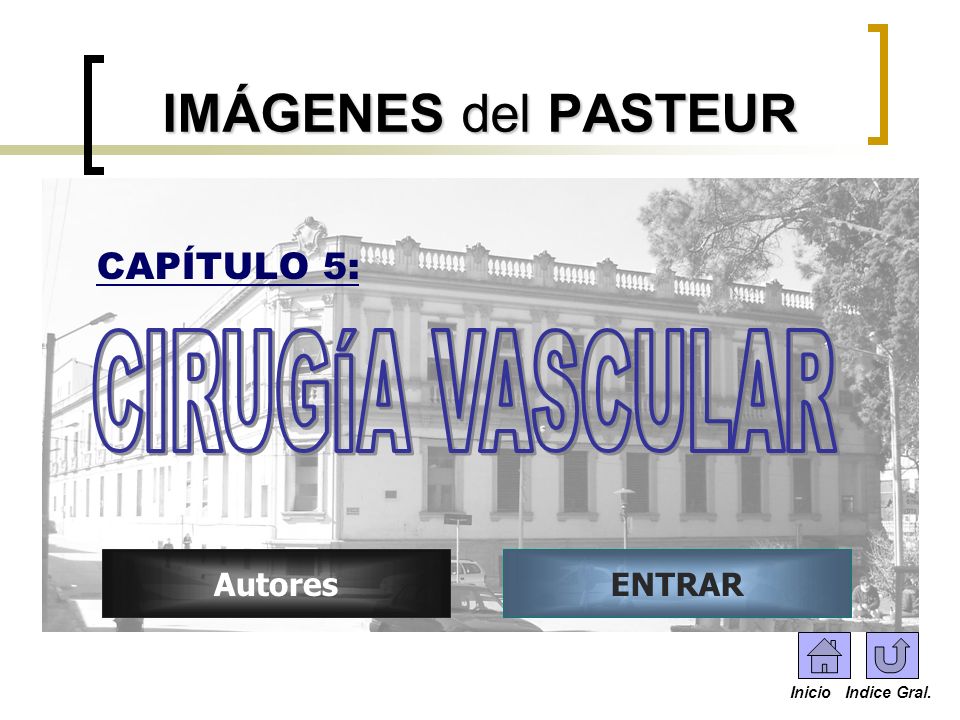 IMÁGENES del PASTEUR CIRUGÍA VASCULAR CAPÍTULO 5: Autores ENTRAR