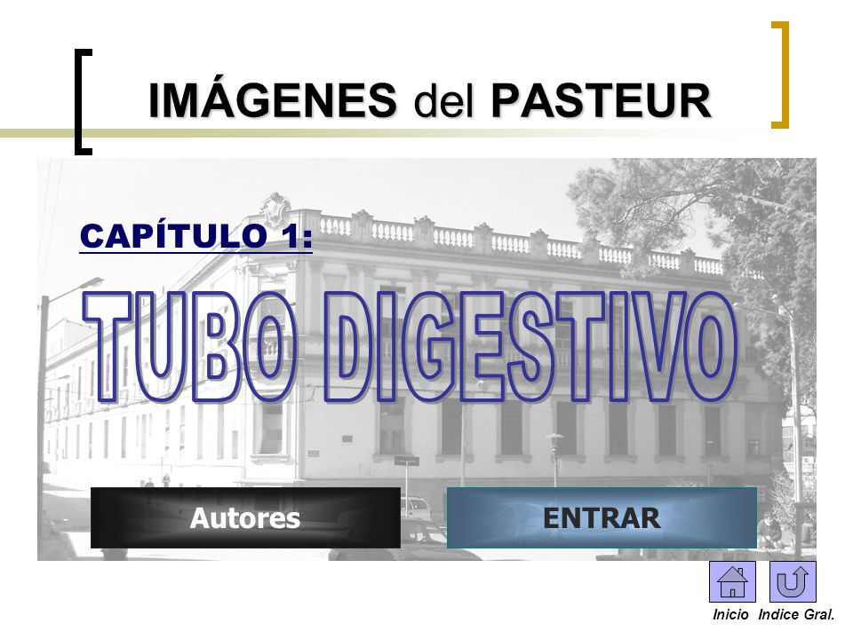 IMÁGENES del PASTEUR TUBO DIGESTIVO CAPÍTULO 1: Autores ENTRAR