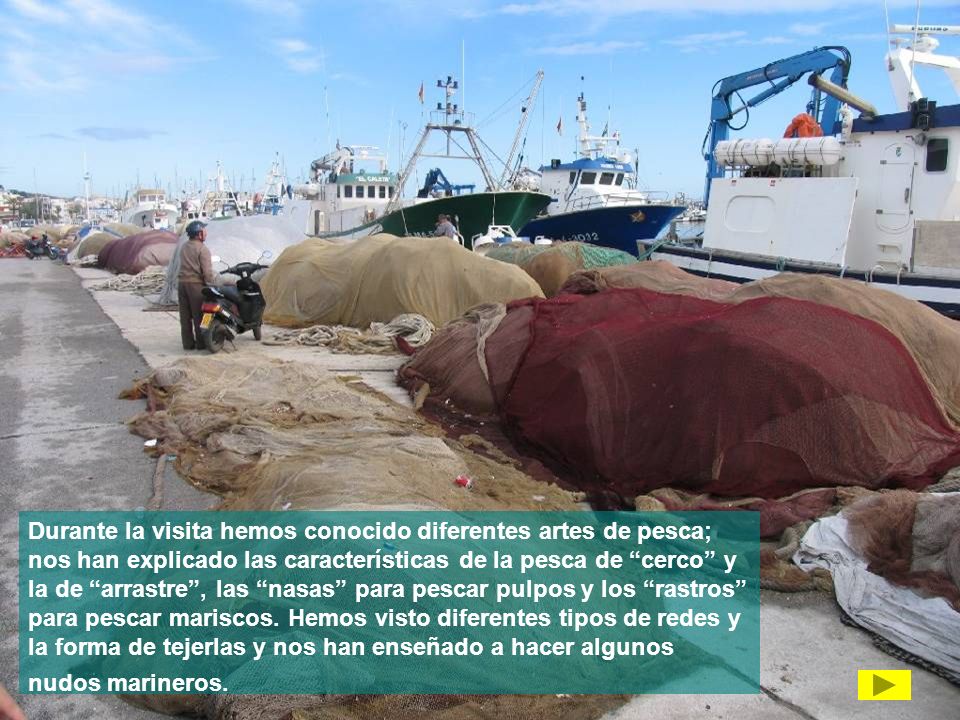 Durante la visita hemos conocido diferentes artes de pesca; nos han explicado las características de la pesca de cerco y la de arrastre , las nasas para pescar pulpos y los rastros para pescar mariscos.