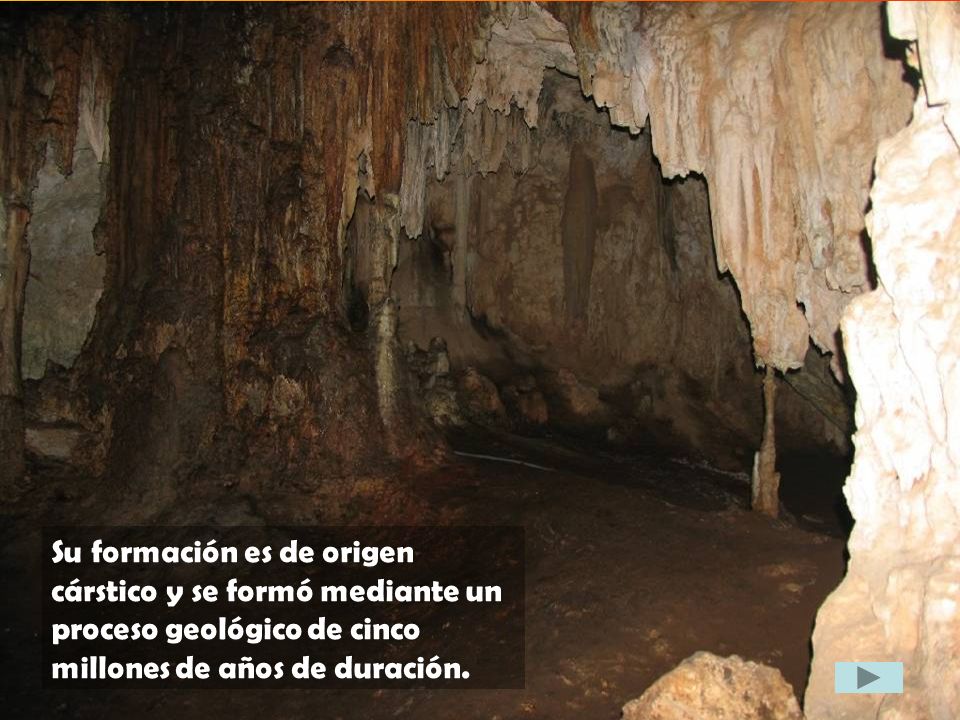 Su formación es de origen cárstico y se formó mediante un proceso geológico de cinco millones de años de duración.