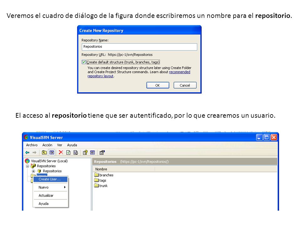Veremos el cuadro de diálogo de la figura donde escribiremos un nombre para el repositorio.
