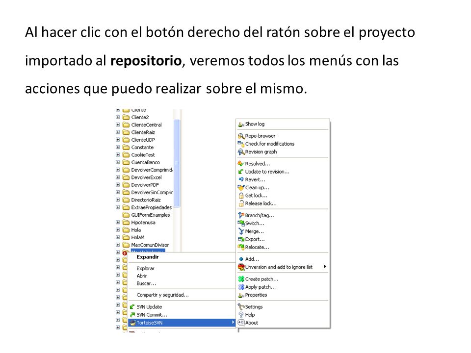 Al hacer clic con el botón derecho del ratón sobre el proyecto importado al repositorio, veremos todos los menús con las acciones que puedo realizar sobre el mismo.