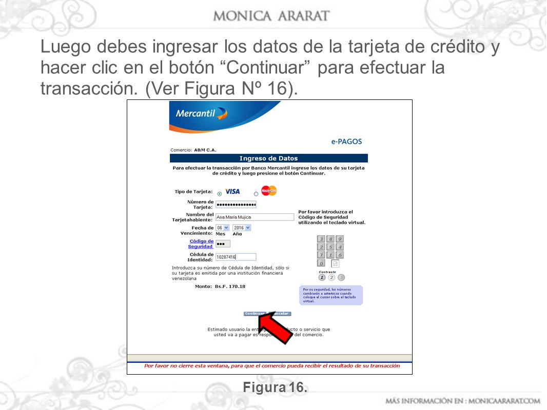 Luego debes ingresar los datos de la tarjeta de crédito y hacer clic en el botón Continuar para efectuar la transacción. (Ver Figura Nº 16).