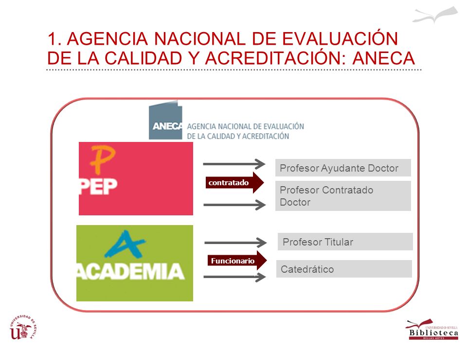 1. AGENCIA NACIONAL DE EVALUACIÓN DE LA CALIDAD Y ACREDITACIÓN: ANECA