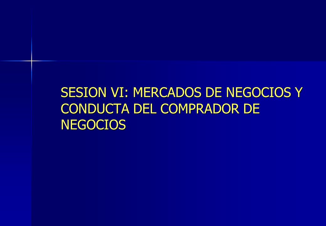 SESION VI: MERCADOS DE NEGOCIOS Y CONDUCTA DEL COMPRADOR DE NEGOCIOS