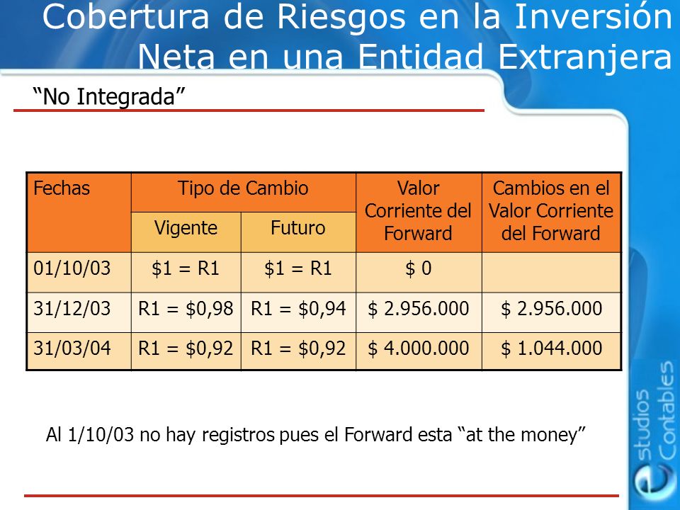 Cobertura de Riesgos en la Inversión Neta en una Entidad Extranjera