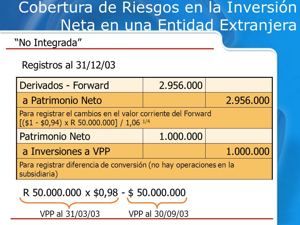 Cobertura de Riesgos en la Inversión Neta en una Entidad Extranjera