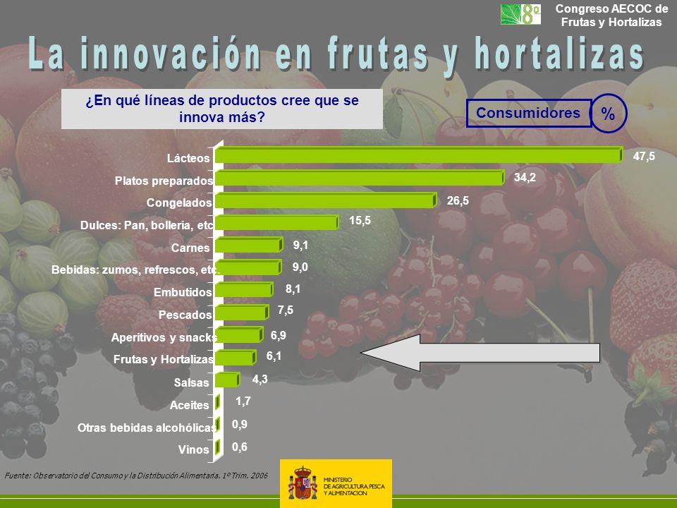 ¿En qué líneas de productos cree que se innova más