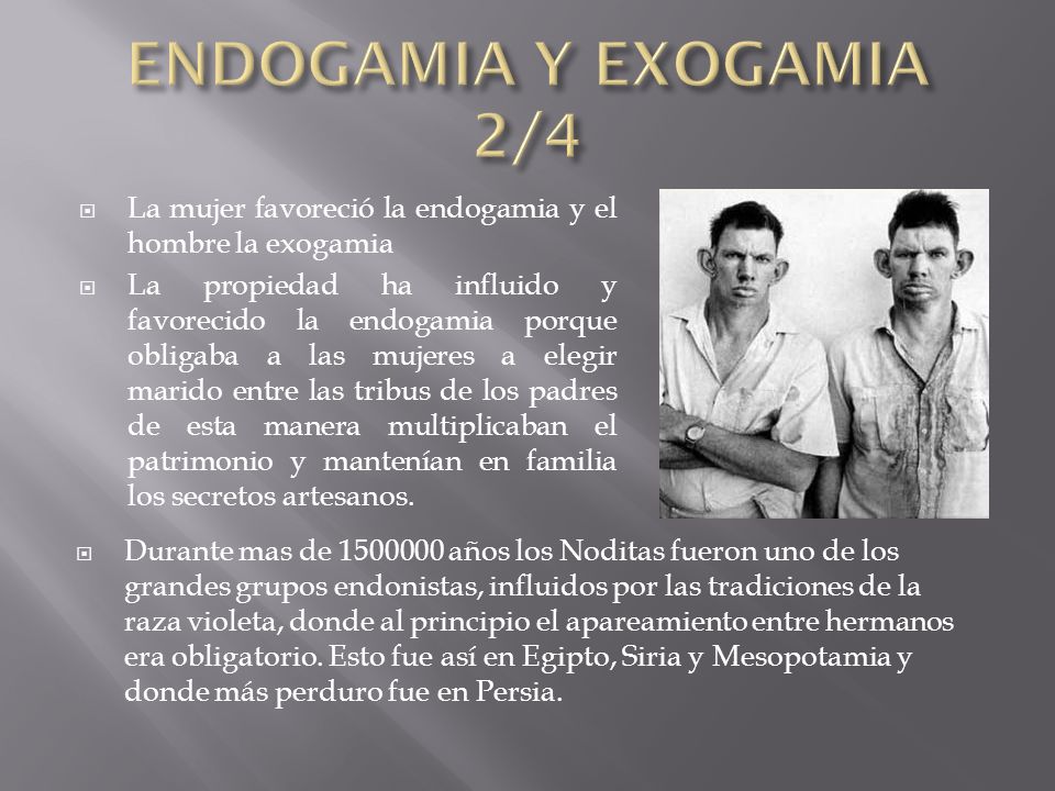 ENDOGAMIA Y EXOGAMIA 2/4 La mujer favoreció la endogamia y el hombre la exogamia.