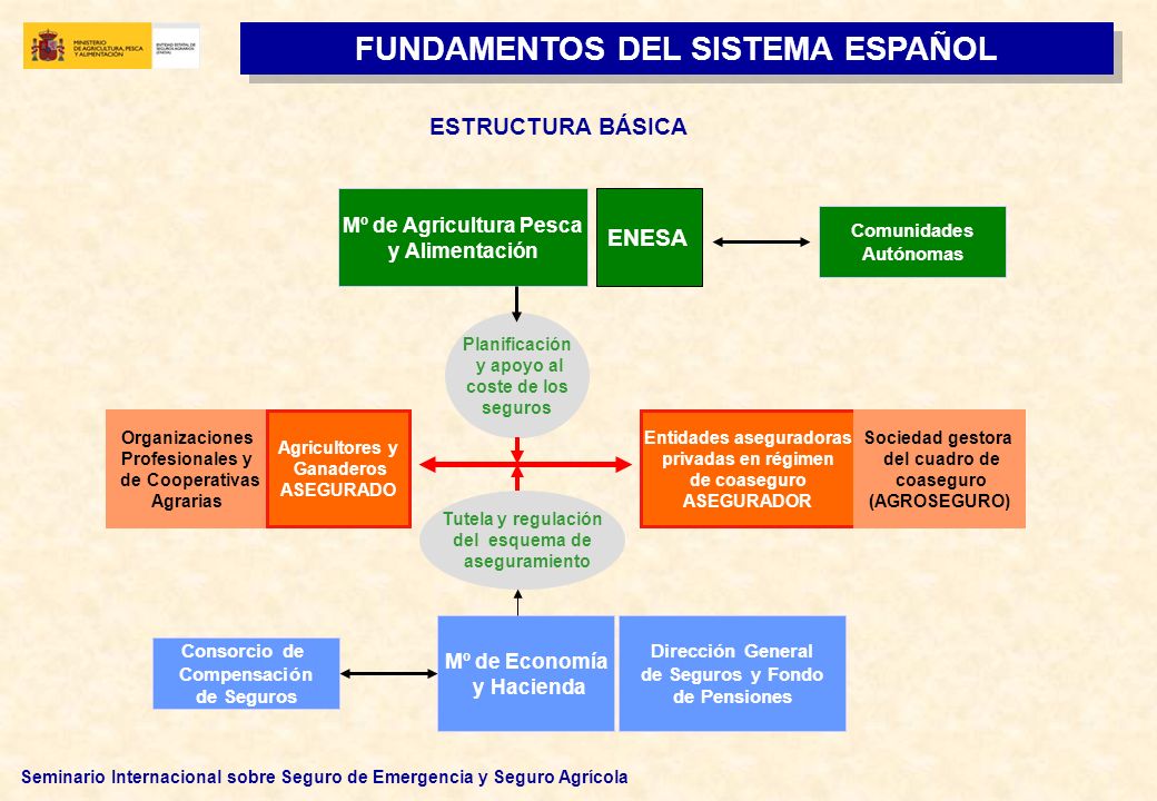 FUNDAMENTOS DEL SISTEMA ESPAÑOL