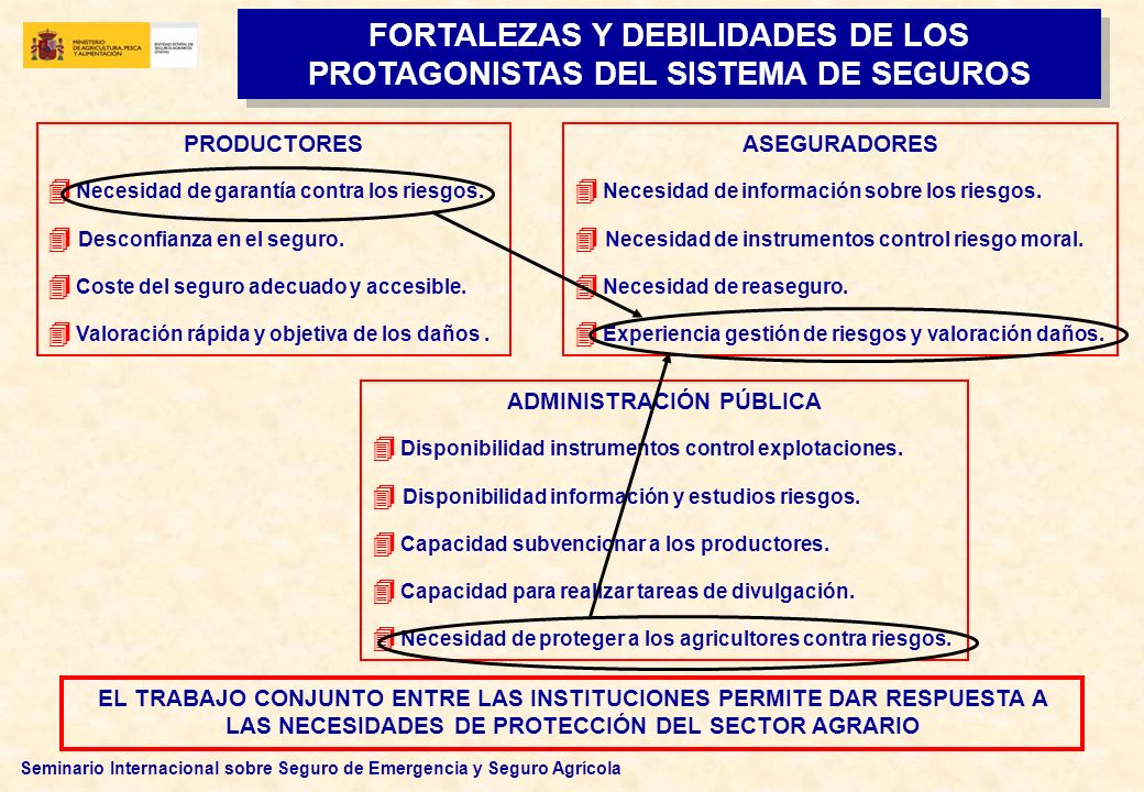 FORTALEZAS Y DEBILIDADES DE LOS PROTAGONISTAS DEL SISTEMA DE SEGUROS