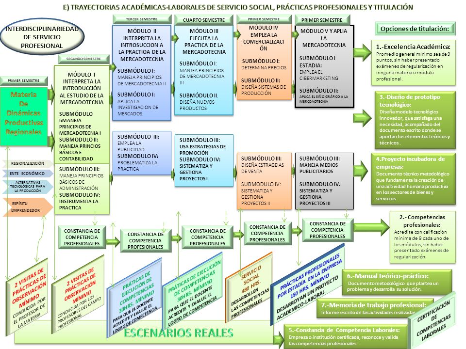 E) TRAYECTORIAS ACADÉMICAS-LABORALES DE SERVICIO SOCIAL, PRÁCTICAS PROFESIONALES Y TITULACIÓN