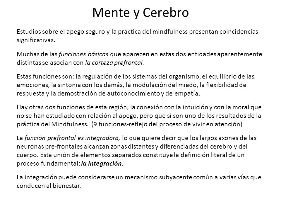 Mente y Cerebro Estudios sobre el apego seguro y la práctica del mindfulness presentan coincidencias significativas.