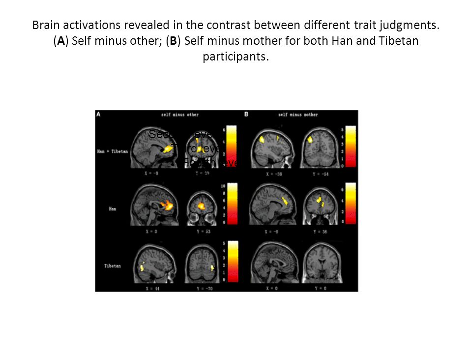 Brain activations revealed in the contrast between different trait judgments. (A) Self minus other; (B) Self minus mother for both Han and Tibetan participants.