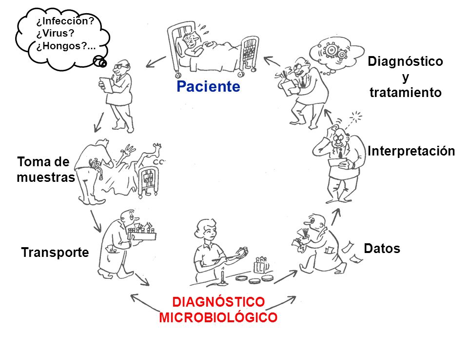 DIAGNÓSTICO MICROBIOLÓGICO Diagnóstico y tratamiento
