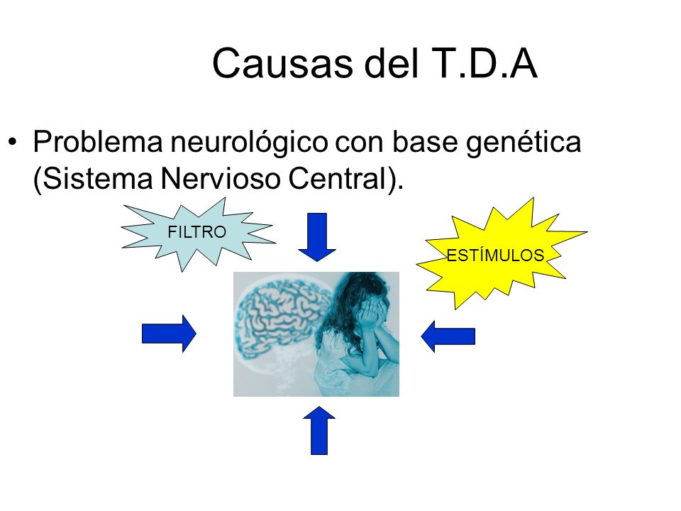 Causas del T.D.A Problema neurológico con base genética (Sistema Nervioso Central).