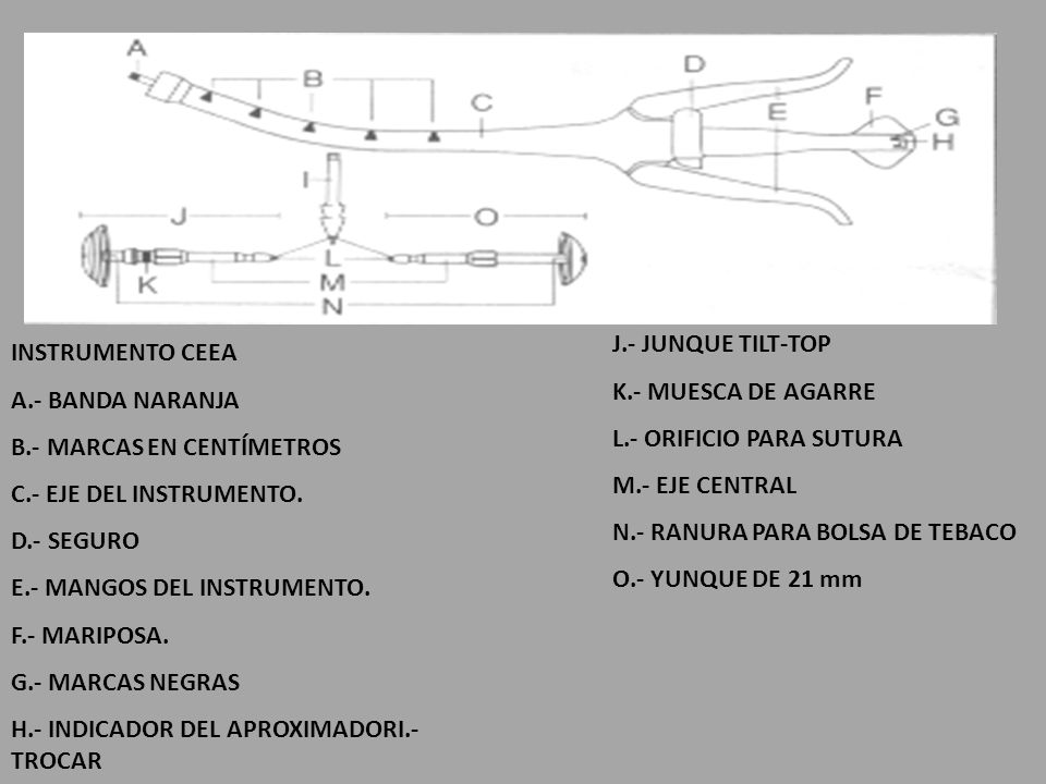 J.- JUNQUE TILT-TOP K.- MUESCA DE AGARRE. L.- ORIFICIO PARA SUTURA. M.- EJE CENTRAL. N.- RANURA PARA BOLSA DE TEBACO.