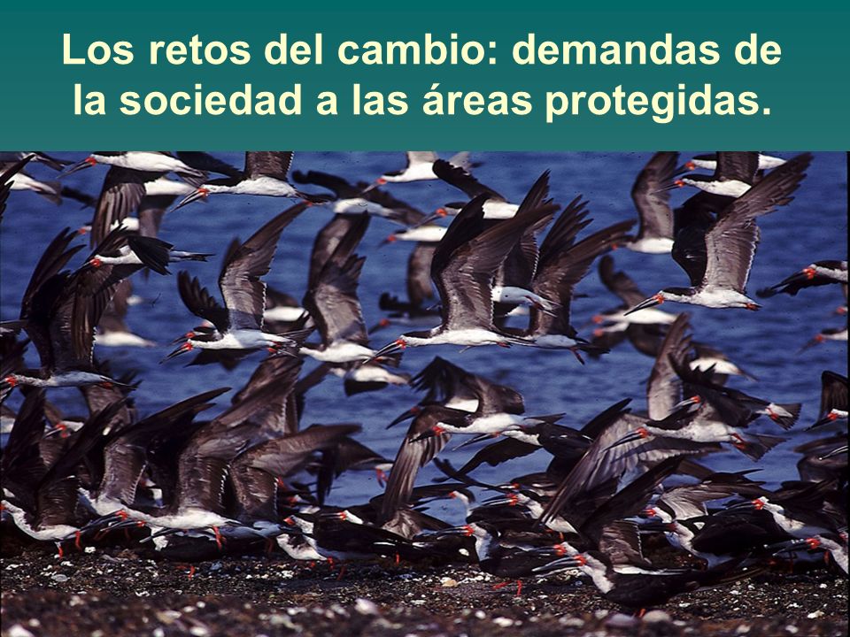 Los retos del cambio: demandas de la sociedad a las áreas protegidas.