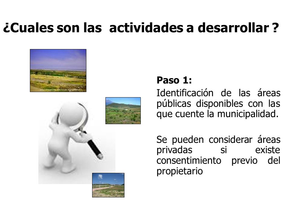 ¿Cuales son las actividades a desarrollar
