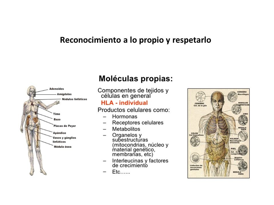Reconocimiento a lo propio y respetarlo