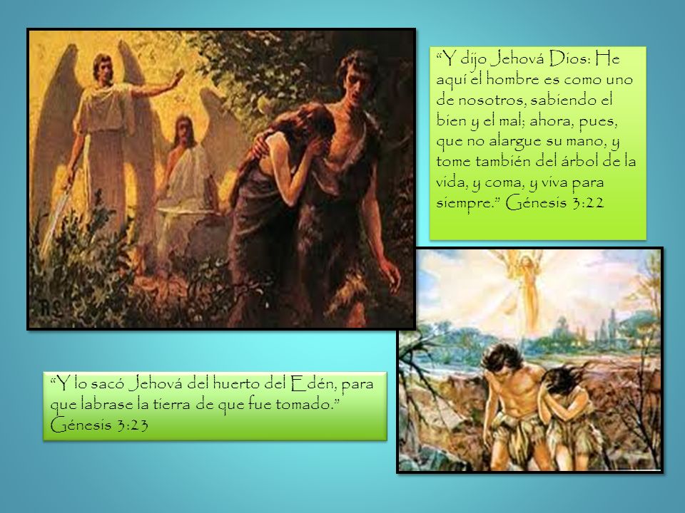 Y dijo Jehová Dios: He aquí el hombre es como uno de nosotros, sabiendo el bien y el mal; ahora, pues, que no alargue su mano, y tome también del árbol de la vida, y coma, y viva para siempre. Génesis 3:22