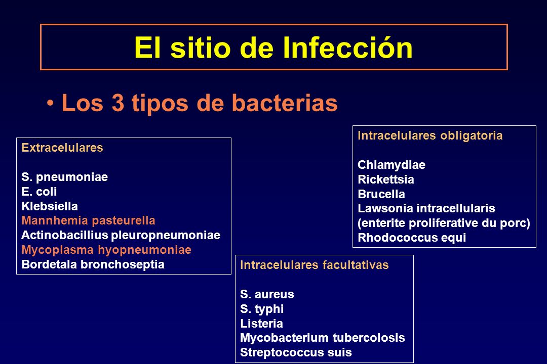 El sitio de Infección Los 3 tipos de bacterias
