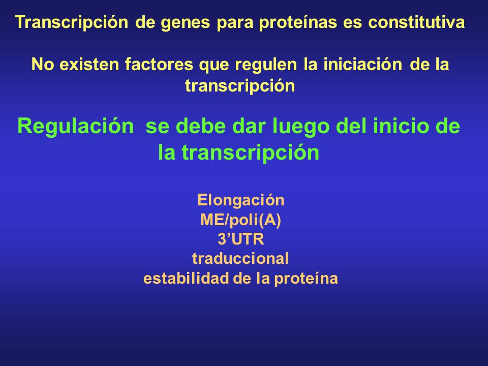 Regulación se debe dar luego del inicio de la transcripción